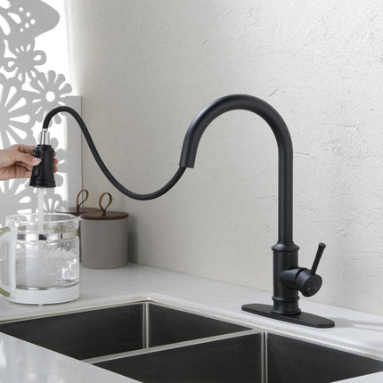 Kitchen Faucet with Pull Out Spraye