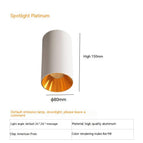 7W Warm Light 3000K / Platinum