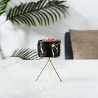 Black trumpet / Gold shelf