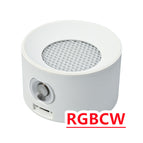 White / Wall Lamp / RGBCW