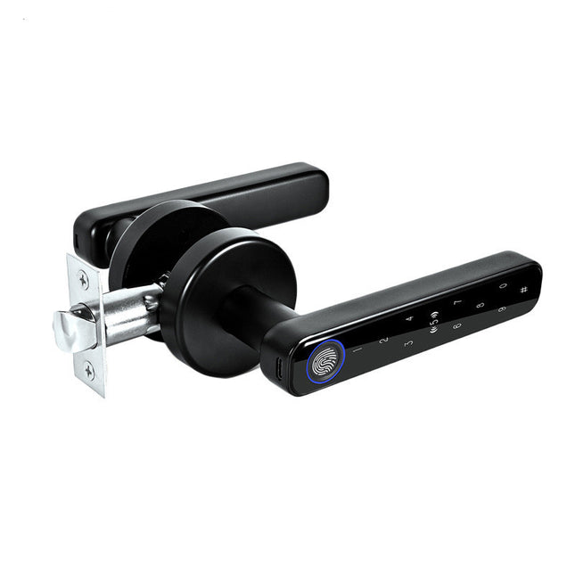 Intelligent Semiconductor Fingerprint Lock