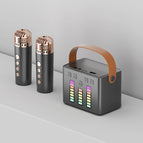 Q2 Audio Black / Single Microphone