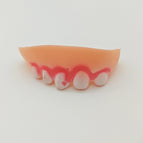 Adzuki Beans Teeth
