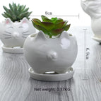 White With Base Support / Without Plants