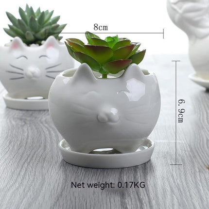 Creative Gardening Balcony Succulent Ceramic Flowerpot Decoration