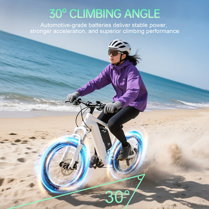 48V 20AH Ebike Battery, Built-in 45A BMS, Equipped With A Safety Anti-theft Lock And USB Interface,