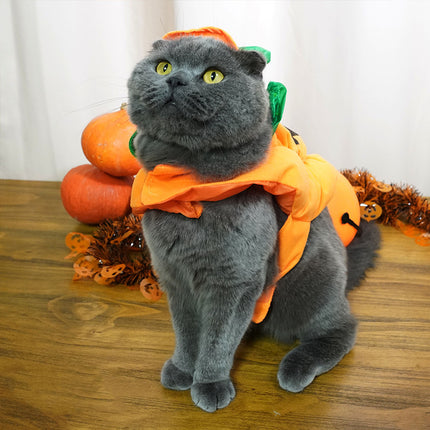 Halloween Weird Pumpkin Shape Transformation Clothes