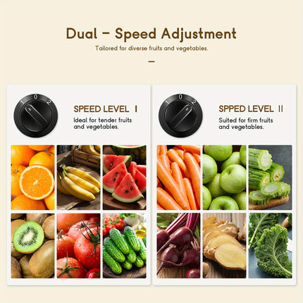 Juicer Extractor | 3 Wide Mouth Feed Chute for Fruits and Vegetables, Easy to Clean, Stainless Steel