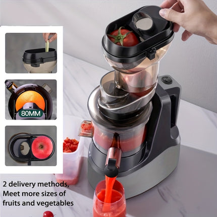 Juicer, Cold Press Juice Extractor, Masticating Juicer for Fruits And Vegetables
