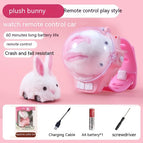 Plush Rabbit Suit