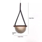 Black Belt Smoky Gray Glass / Neutral Light