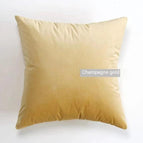 Champagne Gold Velvet / 45 X45cm Pillow Cover