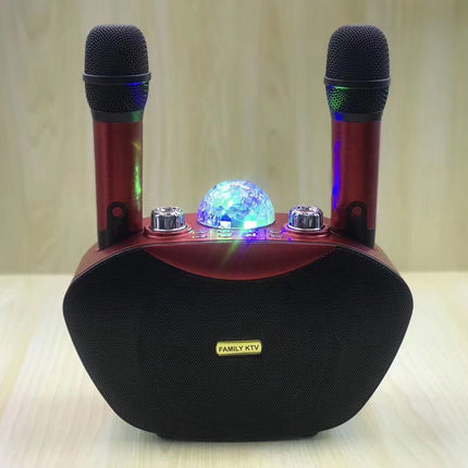 Family Ktv Microphone