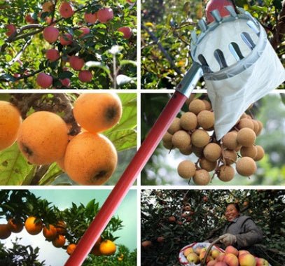Metal fruit picker Agricultural garden hardware tools Fruit picker / picking fruit tools - GARDIWALL